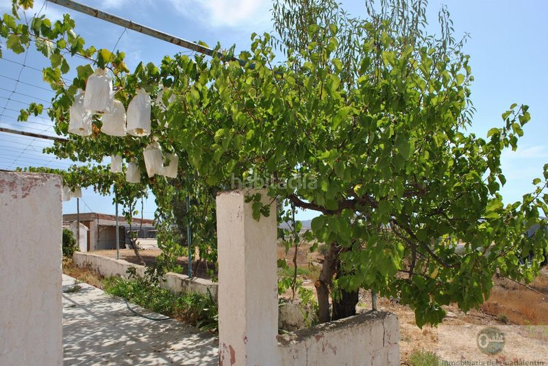 Foto 97b26448-cb40-4520-9289-9a76d3366587. Casa a Almendricos Lorca