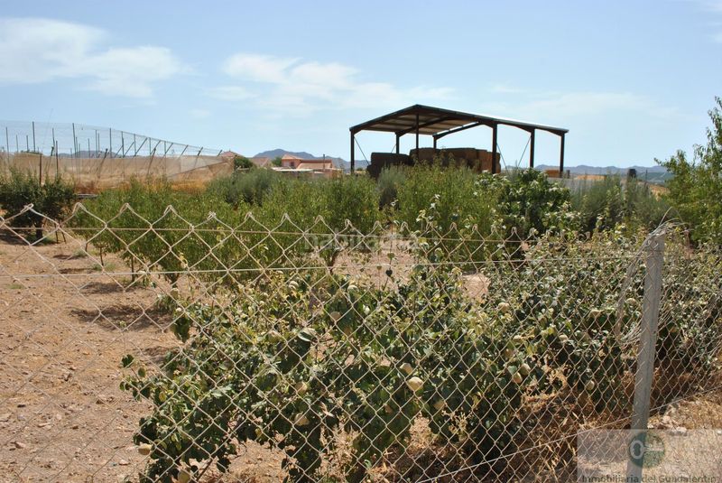 Foto bd0058d3-4bb4-456f-b692-fe206b349cce. Casa a Almendricos Lorca