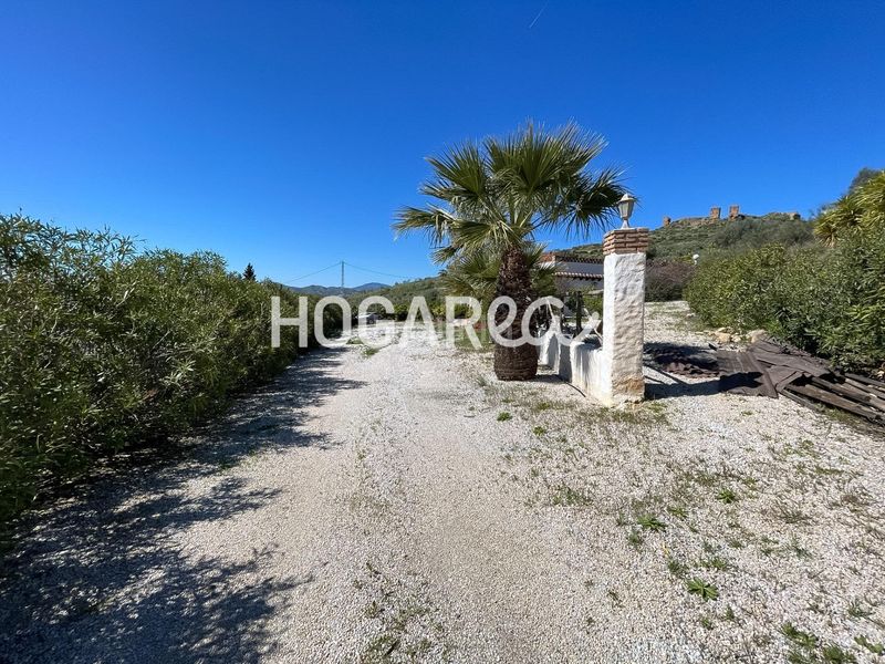 Foto a9b04686-99af-4b41-9b8d-e1980a8fe941. Bauernhof mit pool in Alcaucín