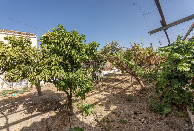 Foto 7fe63c98-ff0d-4e8f-89b9-1163083d6cc2. Masia amb aparcament a Residencial Jardín Botánico Málaga