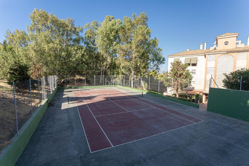 Foto f4437593-ecaf-43a3-b279-8b1634833a72. Pis amb piscina a Parque Clavero Málaga