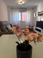 Location Appartement  Bulevar pilar miró. Amplio apartamento amueblado en zona residencial privilegiada