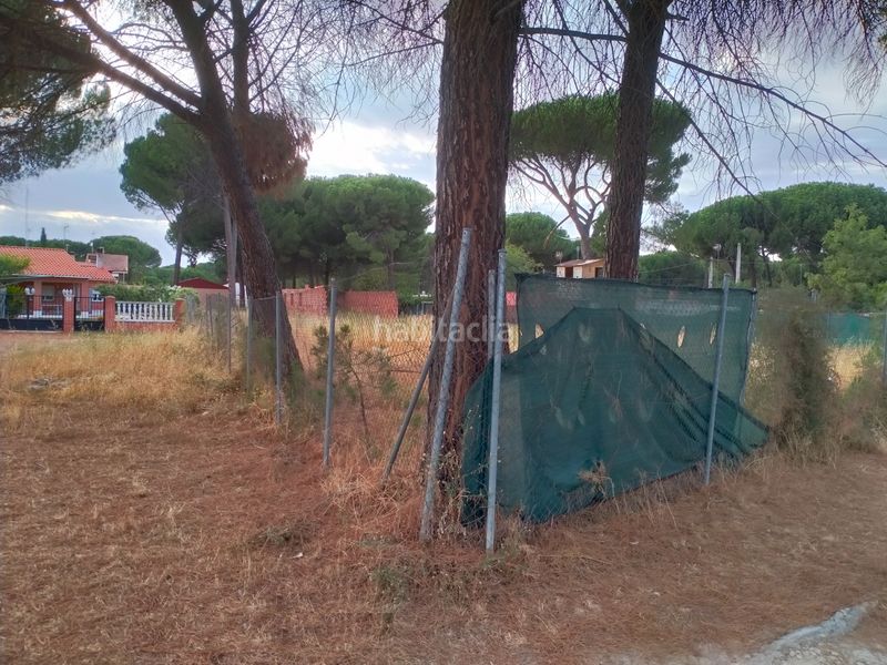 Foto 4ea2aec3-3b4b-4fc4-8df9-aed8f8285af3. Finca rústica a Traspinedo