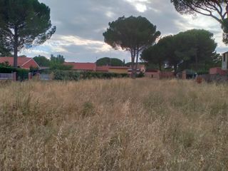 Rural plot  Pago de los carrizales. Terreno urbanizable