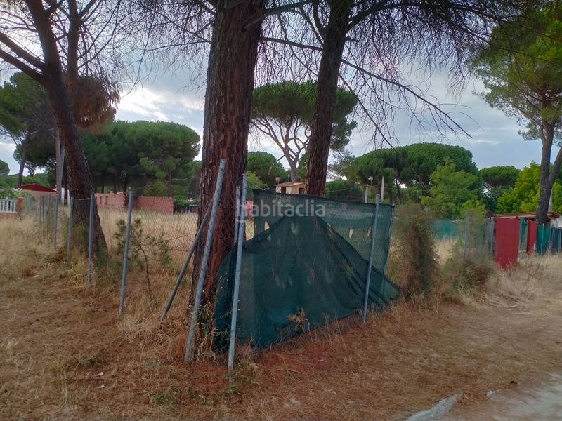 Foto 68f25ae0-ad30-4559-b0c2-775aa86219ff. Finca rústica a Traspinedo