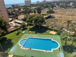 Alquiler Piso en Playa Muchavista. Piso en  campello, muchavista