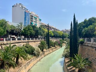 Pis  Passeig de mallorca