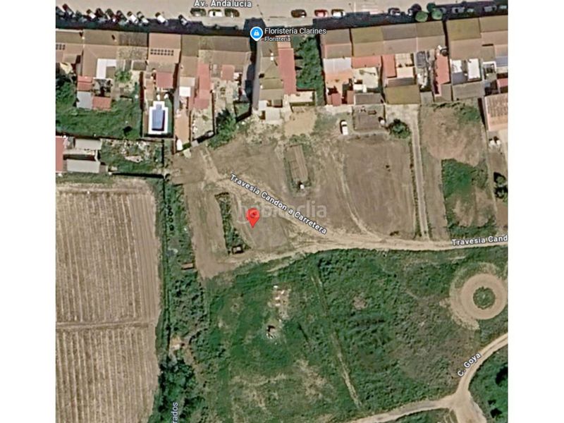 Foto 93a55a70-bcfd-47ff-83b5-f7731f6110ac. Finca rústica a travesia candón a la carretera 25 a Beas