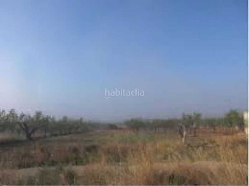 Foto 74aba9af-fabc-4352-b93f-95f64f1ebb03. Finca rústica a Cabanes