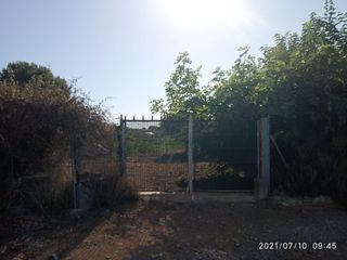Finca rústica a Pau Lledó. Terreno rural venta en castellón zona norte, 3000 m.