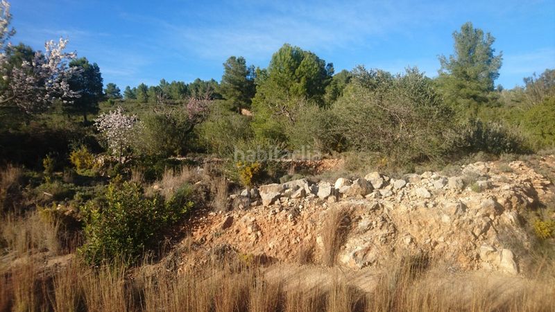 Foto 007c500c-c546-49eb-b085-c84f4af37bb6. Casa a Vall d´Alba