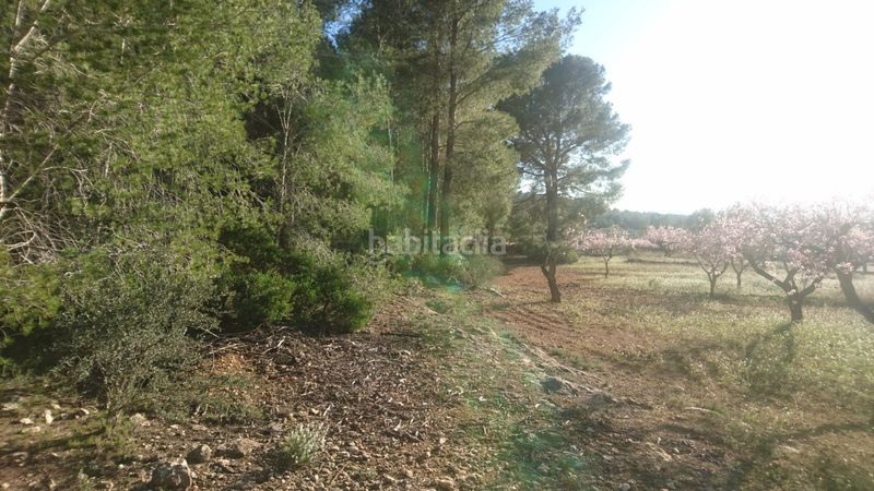 Foto 4640b6f5-d96a-47cd-b1d4-bcf48dde0724. Casa a Vall d´Alba