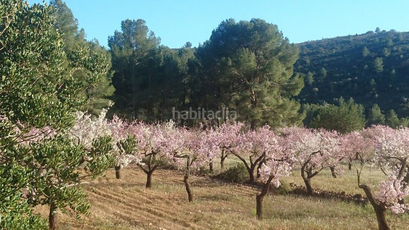 Foto 94220478-a064-45dd-8c3c-938024347d73. Casa a Vall d´Alba