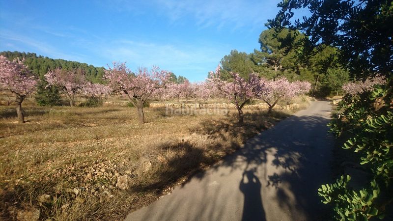 Foto 988f2552-19a3-45d4-8216-883cf4312552. Casa a Vall d´Alba
