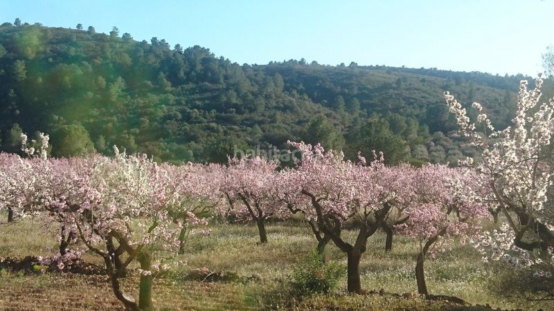Foto ccfed1d2-a9ba-4d2b-83e6-1f167cf45325. Casa a Vall d´Alba