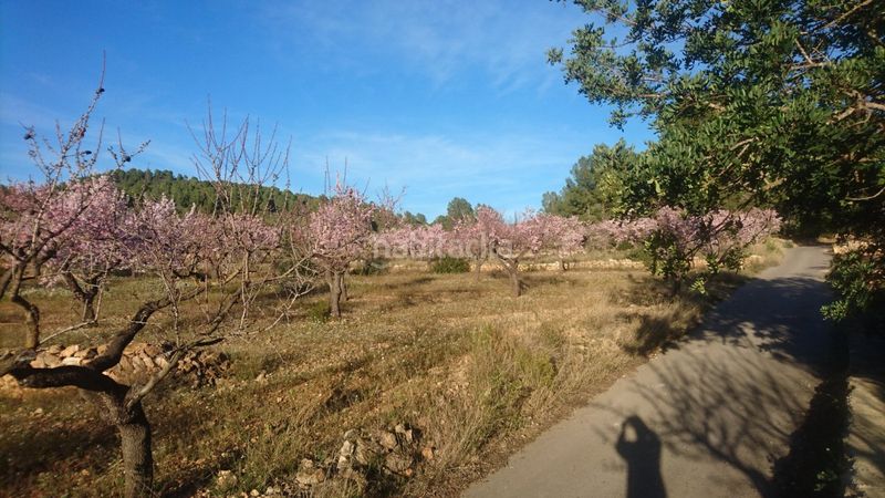 Foto eebe80b3-1e2b-4895-aee1-8791256ba312. Casa a Vall d´Alba