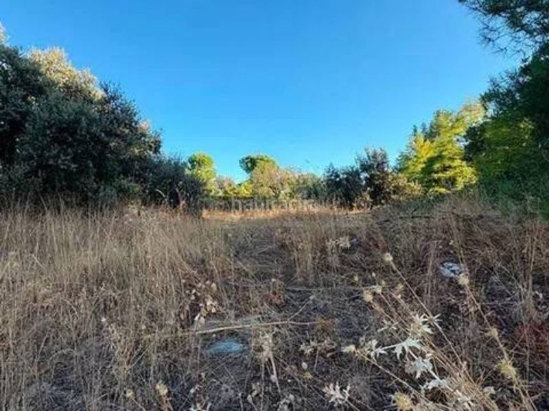 Foto 4133c329-8820-4e32-807a-4369ce3f918a. Terreny residencial a La Florida - El Plantío Madrid