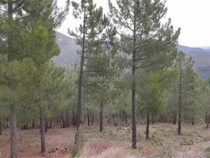 Foto 70c72c6a-2e14-4790-aff3-1aea8cd826ed. Rural plot in Robledillo de la Jara