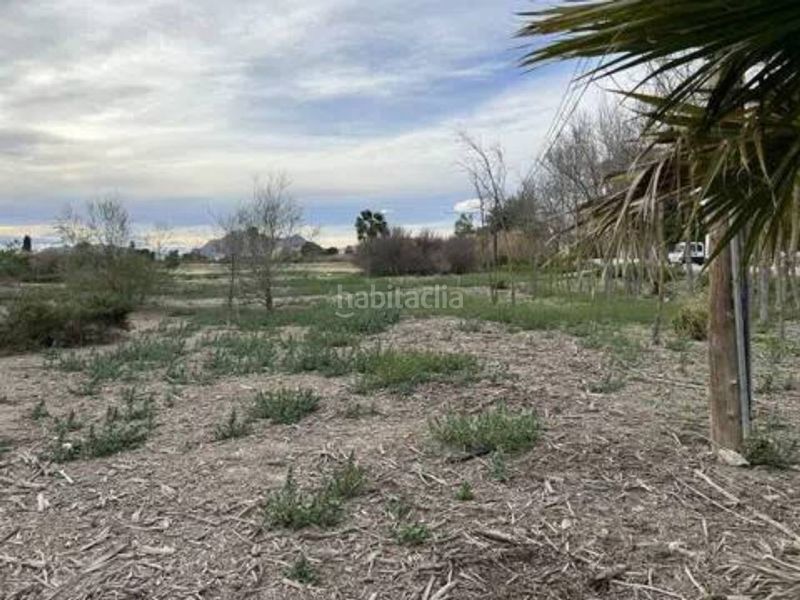 Foto 1677187f-b279-454a-b69e-6fa5b96c1db5. Terreno residenziale in Almoradí