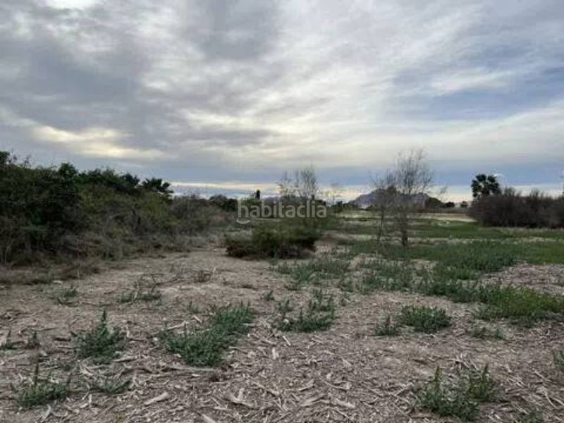 Foto b8904aae-a9ed-4840-a5c2-80f330c7fe2c. Terreno residenziale in Almoradí