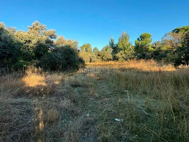 Foto 4e9365bd-0c15-4da7-a078-83621c442200. Terreny residencial a La Florida - El Plantío Madrid