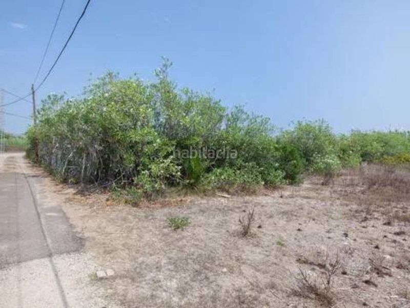 Foto 0412899c-21a1-4d95-82f8-e73e4965d13c. Terreny residencial a El Marenyet Cullera