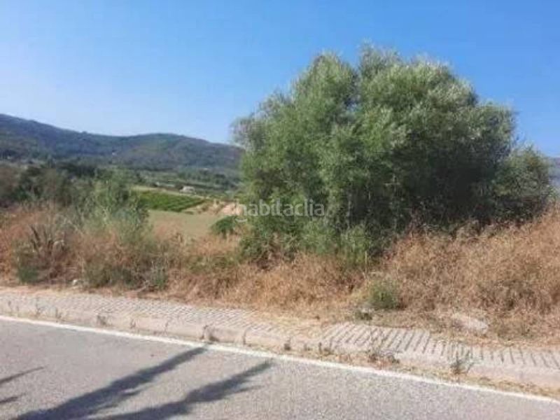 Foto f25a75af-b35c-46a6-8700-1f602bbaf2bd. Terreny residencial a Xaló