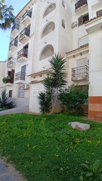 Foto 7162ccf9-e33d-4203-9281-7d4ce7871afb. Apartament amb piscina a nueva Torrevieja Torrevieja
