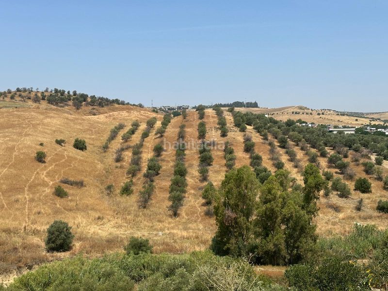 Foto c11a17ee-1ada-4f4f-82f8-7744df645886. Finca rústica a Balcón de Sevilla - Atalaya - La Uva - Extremeña Camas