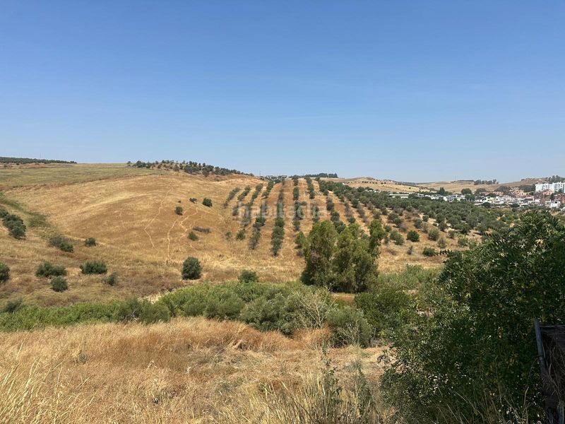 Foto cd48c982-3434-4e5e-8ddb-25600fc23553. Finca rústica a Balcón de Sevilla - Atalaya - La Uva - Extremeña Camas