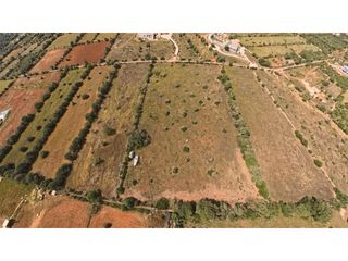 Terreno residenziale  Carrer sa carrotja. Terreno con proyecto ses salines