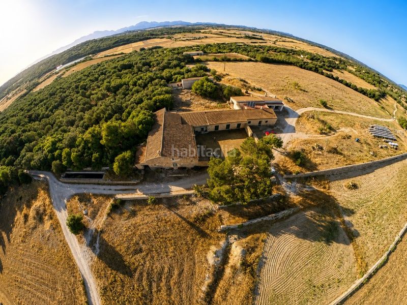 Foto c31b5668-96d2-4f08-96c9-90e38890d7a3. Casa amb aparcament a Ariany