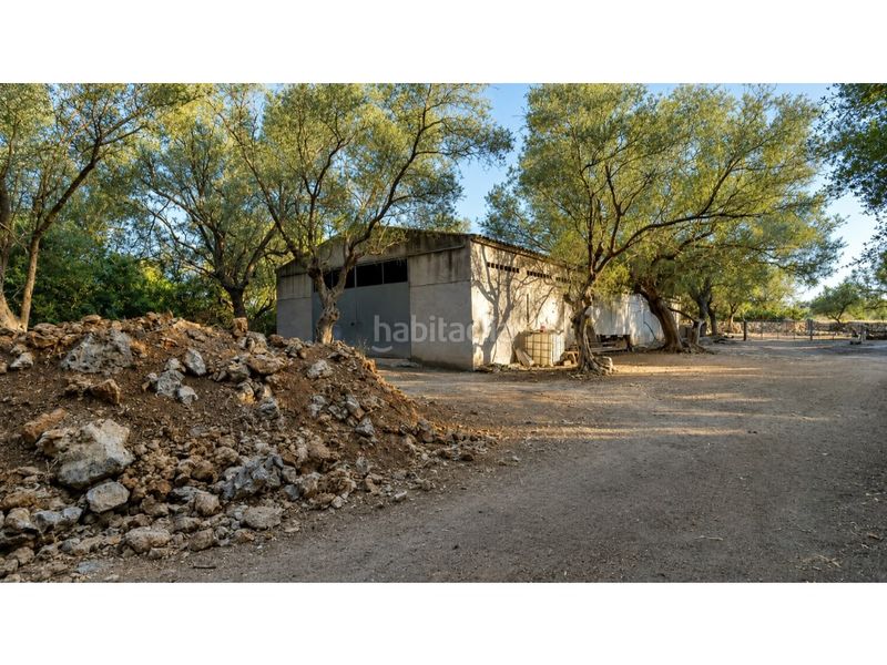 Foto d391d184-3f4a-4168-877c-2069086f7541. Casa amb aparcament a Ariany