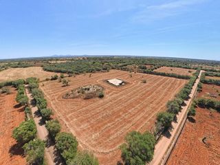 Terreno residenziale  Poligono 22 paraje 108 sa sorda. Finca rústica con proyecto de vivienda en campos  mallorca