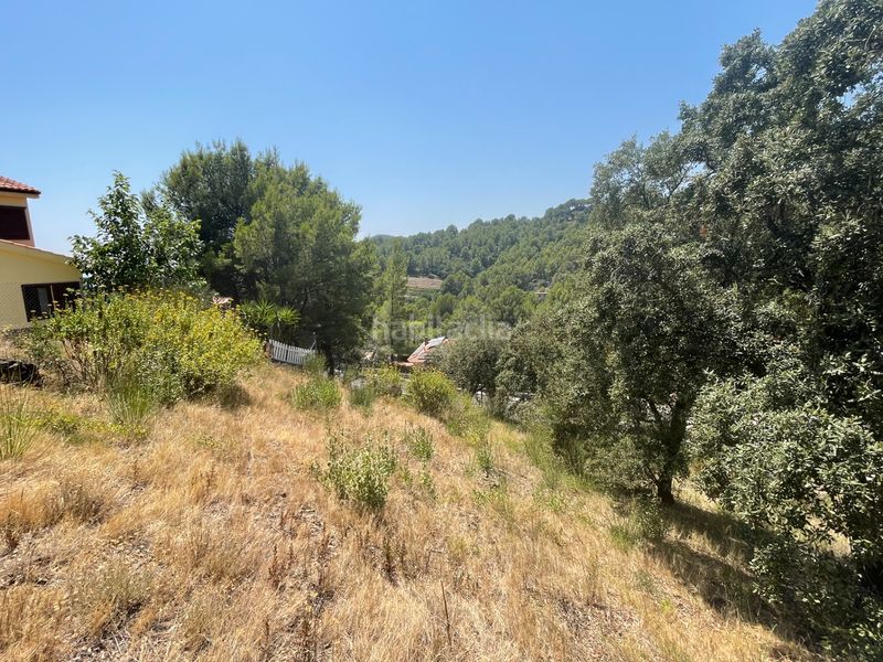 Foto 21434c65-b181-4598-8c11-4e10b6bae7ba. Terreny residencial a Almoster