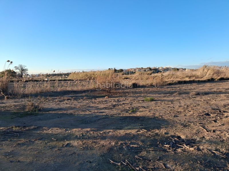 Foto 48206fa4-2ae2-4a6f-b8cb-dc0e6b01a113. Finca rústica a San Fulgencio