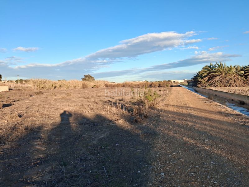 Foto e8a85651-e877-4cb8-8069-c64754ca1628. Finca rústica a San Fulgencio
