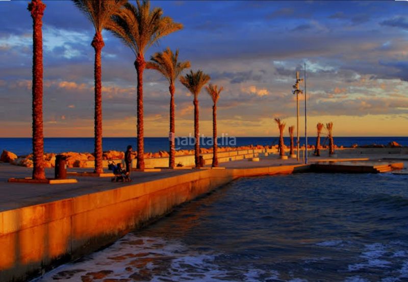Foto f7bc8966-435a-43b1-8d17-31f2e77aff53. Edifici a Playa de los Náufragos Torrevieja
