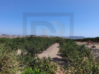 Country house  Lugar torremendo. Exclusiva finca rústica con gran potencial agrícola y rentabilid