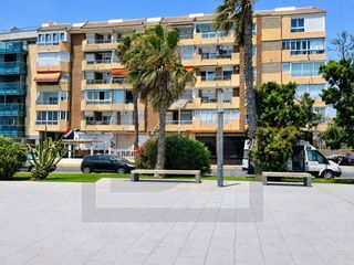 Pis a Avenida Purisima De La