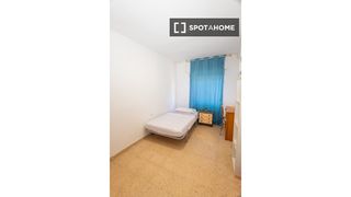 Affitto Appartamento in Ciutat Jardí. Se alquila habitación en piso compartido en ciutat jardí