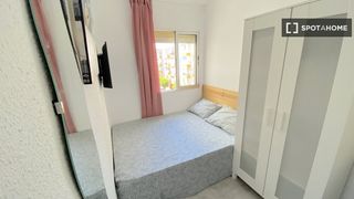 Rent Flat in El Torrejón - El Cerezo. Habitación compartida en alquiler en la palmilla, sevilla.