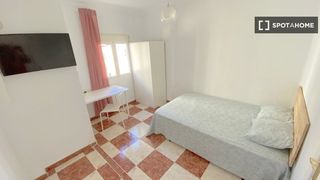 Rent Flat in El Torrejón - El Cerezo. Habitación en piso de 4 habitaciones en la palmilla, sevilla.