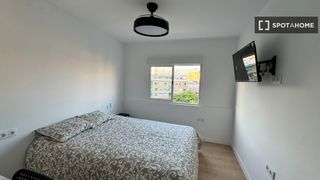 Lloguer Pis a Carolinas Altas. Habitación en piso compartido en alquiler en alicante