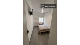 Location Appartement à Campoamor. Habitación en piso compartido en alquiler en alicante