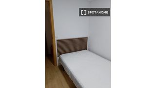 Rent Flat in Carolinas Altas. Habitación en piso compartido en alicante alacant
