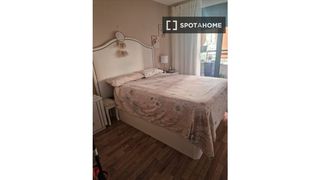 Lloguer Pis a Florida Baja. Habitación en piso compartido en alicante