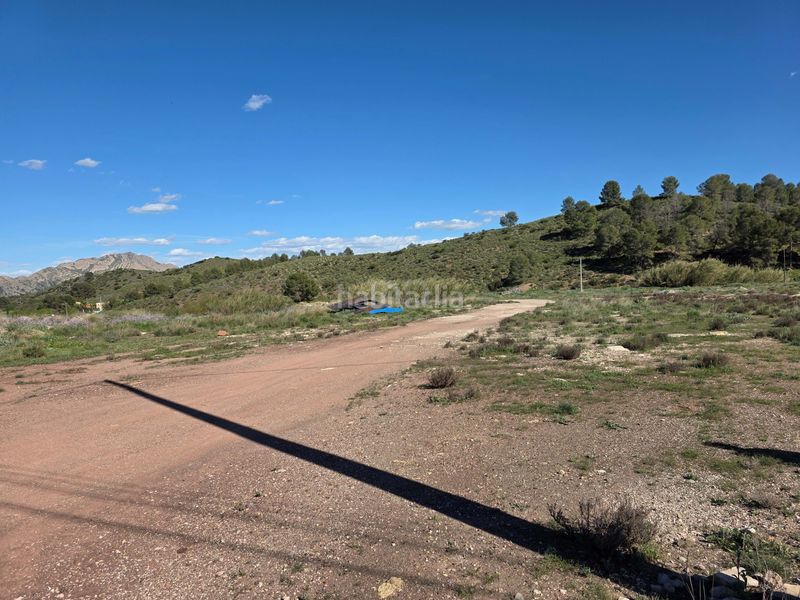Foto fd66bc1f-e620-481c-8ce1-f84ade2d856d. Finca rústica en Calasparra