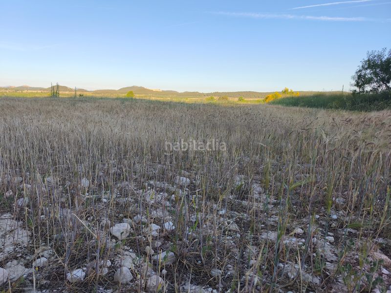 Foto 8ad0160a-f5d1-4767-a6a7-f664c802f287. Finca rústica a Moratalla
