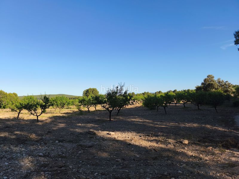 Foto 98c5dff3-4e54-4632-9947-2aaff5904651. Finca rústica a Moratalla